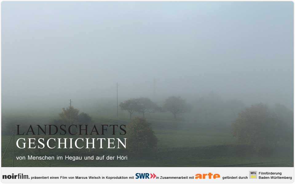 Landschaftsgeschichten der Film Nebel Bodensee Hegau